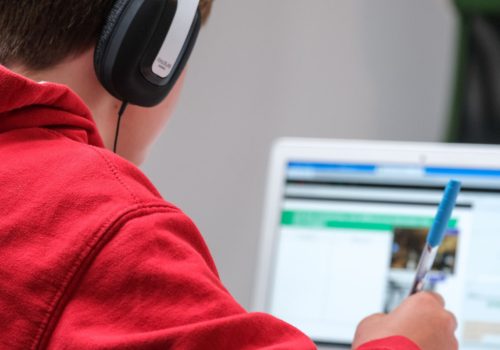 Hiç Online Eğitim Aldınız mı?